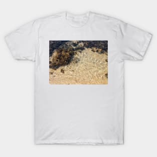 Hawaii Coral Reef T-Shirt